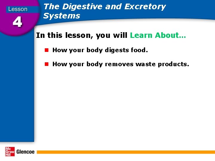 The Digestive and Excretory Systems In this lesson, you will Learn About… n How