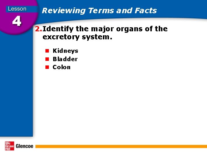 Reviewing Terms and Facts 2. Identify the major organs of the excretory system. n