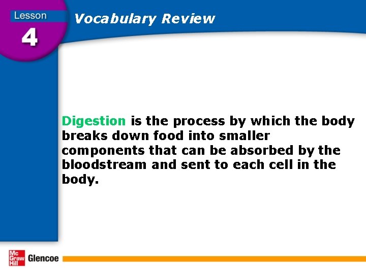 Vocabulary Review Digestion is the process by which the body breaks down food into