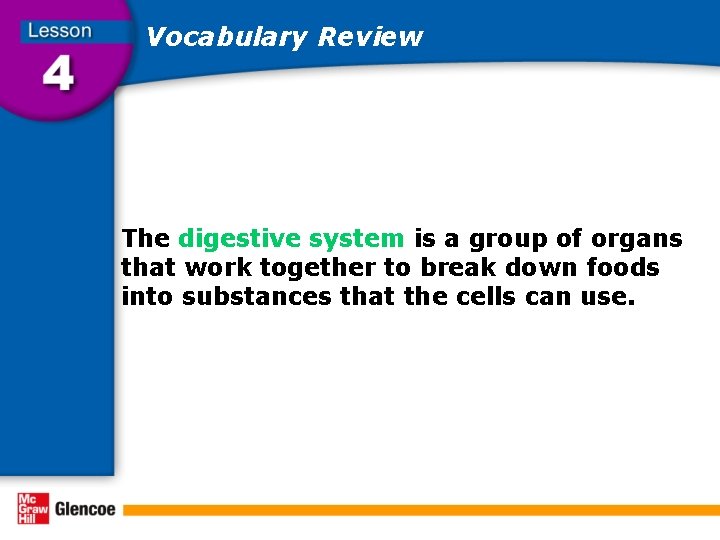 Vocabulary Review The digestive system is a group of organs that work together to