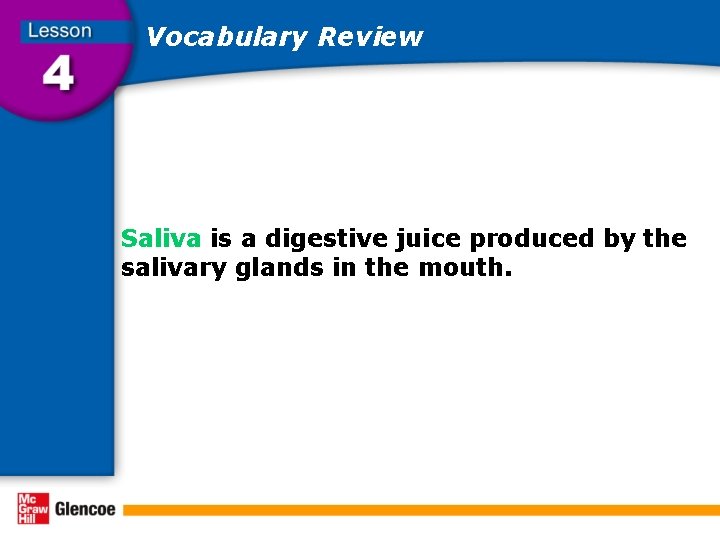 Vocabulary Review Saliva is a digestive juice produced by the salivary glands in the