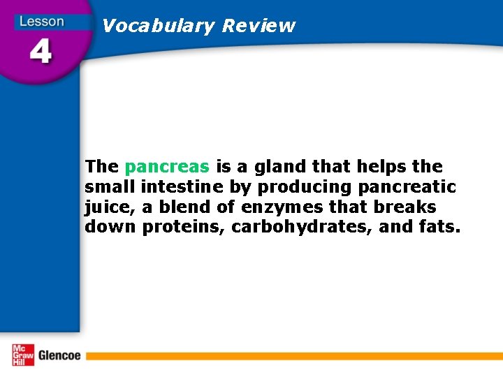 Vocabulary Review The pancreas is a gland that helps the small intestine by producing