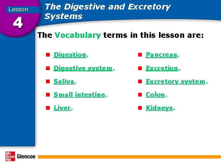 The Digestive and Excretory Systems The Vocabulary terms in this lesson are: n Digestion.