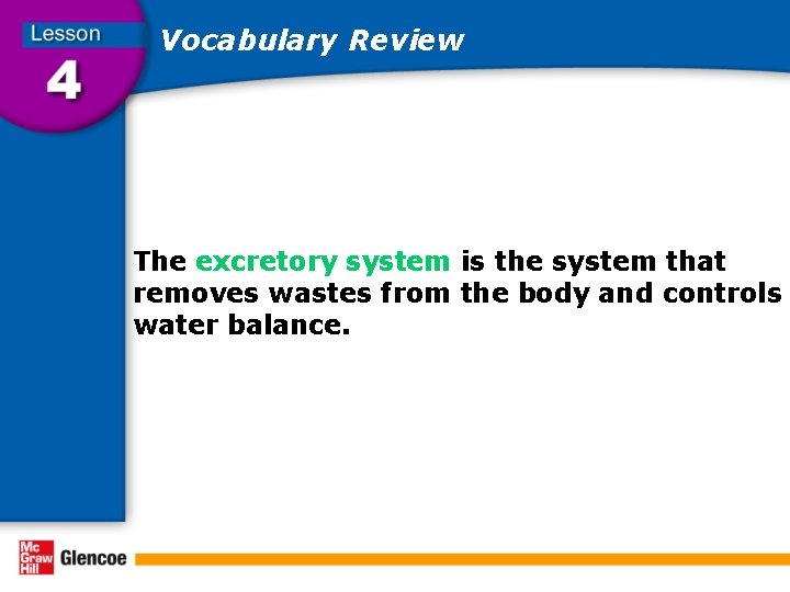 Vocabulary Review The excretory system is the system that removes wastes from the body