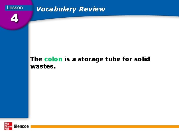 Vocabulary Review The colon is a storage tube for solid wastes. 