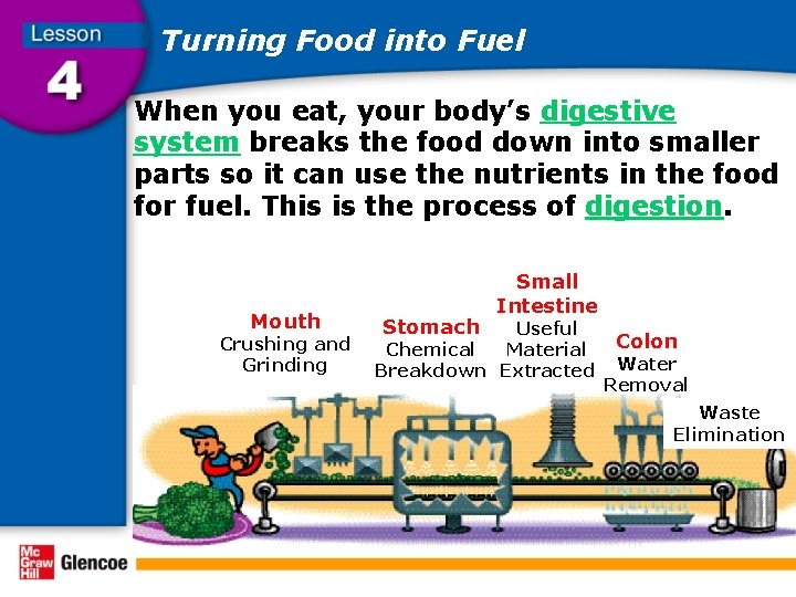 Turning Food into Fuel When you eat, your body’s digestive system breaks the food