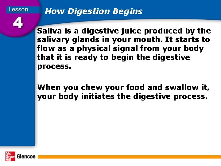 How Digestion Begins Saliva is a digestive juice produced by the salivary glands in