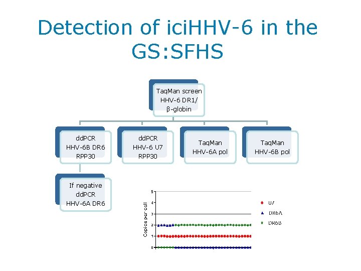 Detection of ici. HHV-6 in the GS: SFHS Taq. Man screen HHV-6 DR 1/