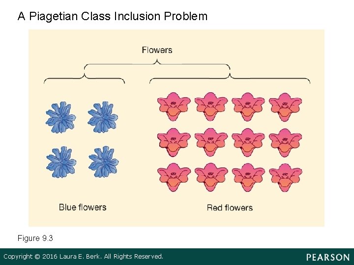 A Piagetian Class Inclusion Problem Figure 9. 3 Copyright © 2016 Laura E. Berk.