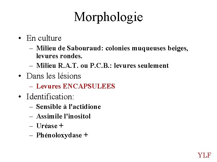 Morphologie • En culture – Milieu de Sabouraud: colonies muqueuses beiges, levures rondes. –