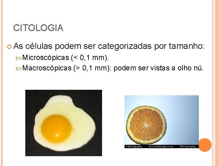 CITOLOGIA As células podem ser categorizadas por tamanho: Microscópicas (< 0, 1 mm). Macroscópicas