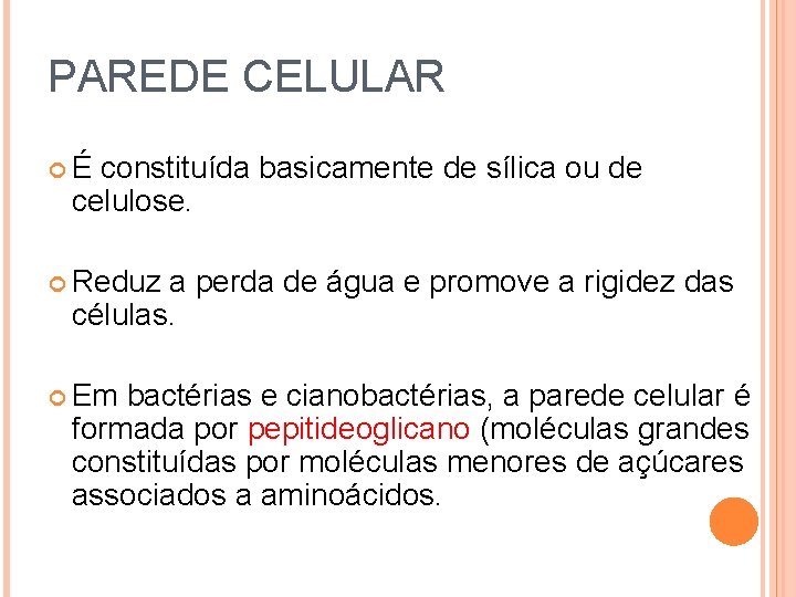 PAREDE CELULAR É constituída basicamente de sílica ou de celulose. Reduz a perda de