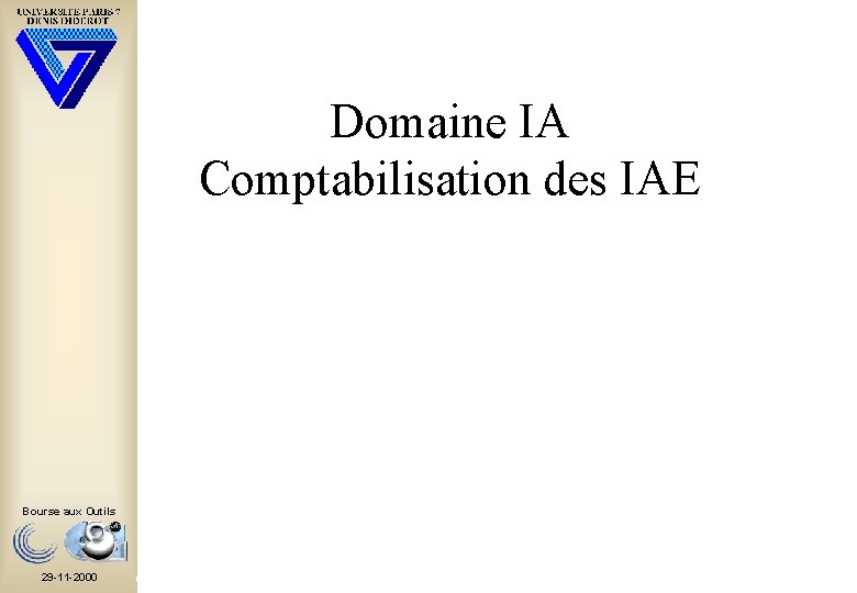 Domaine IA Comptabilisation des IAE Bourse aux Outils 29 -11 -2000 Copyright, 1996 ©