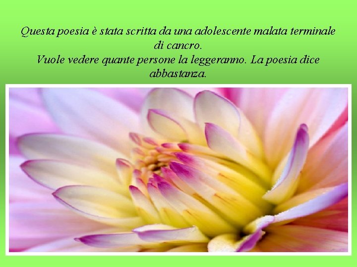 Questa poesia è stata scritta da una adolescente malata terminale di cancro. Vuole vedere