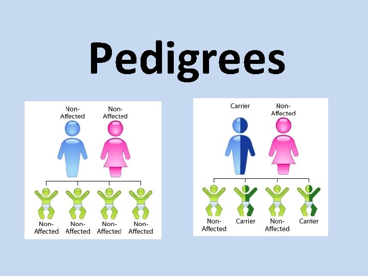 Pedigrees 