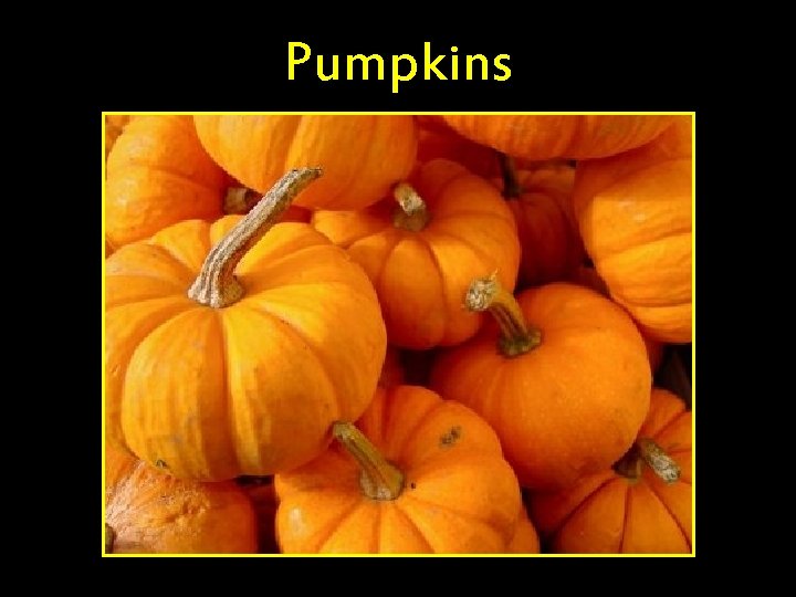 Pumpkins 