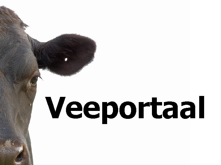 Veeportaal 