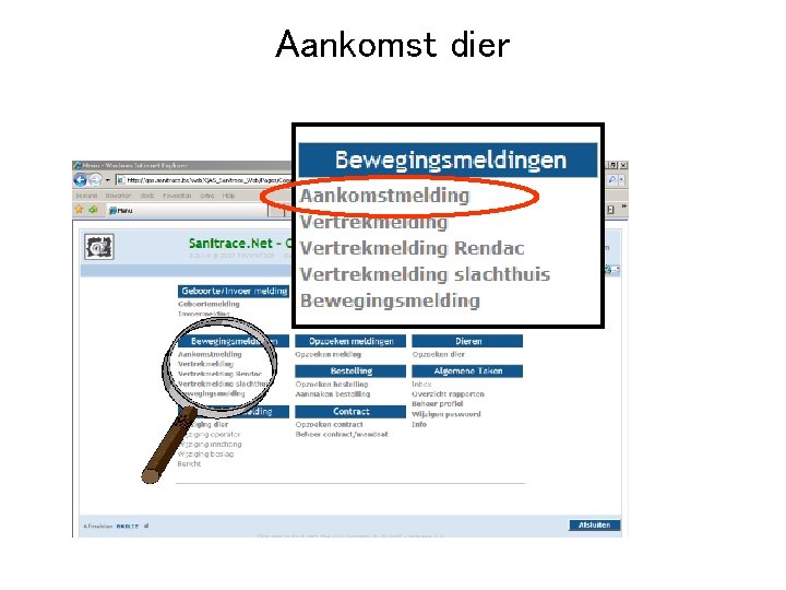Aankomst dier 