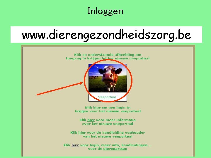 Inloggen www. dierengezondheidszorg. be 
