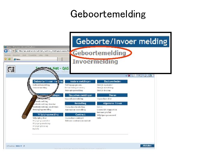 Geboortemelding 