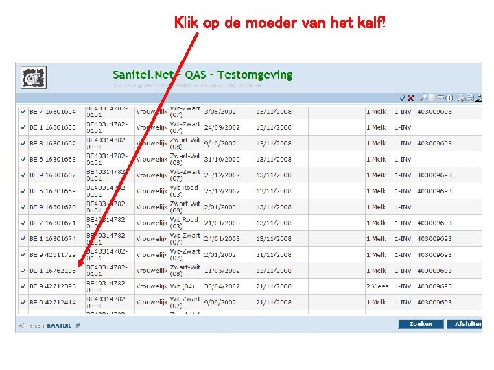 Klik op de moeder van het kalf! 