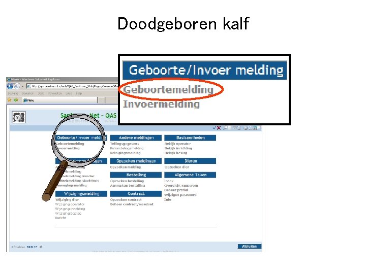 Doodgeboren kalf 
