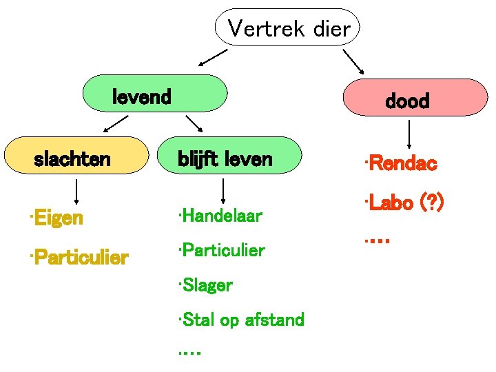 Vertrek dier levend slachten dood blijft leven • Eigen • Handelaar • Particulier •