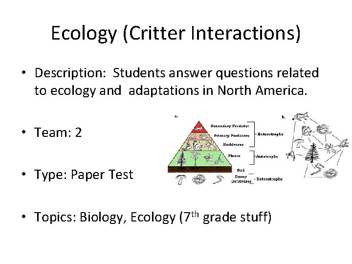 Ecology (Critter Interactions) • Description: Students answer questions related to ecology and adaptations in