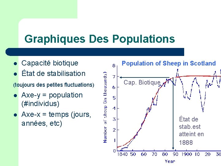 Graphiques Des Populations l l Capacité biotique État de stabilisation (toujours des petites fluctuations)