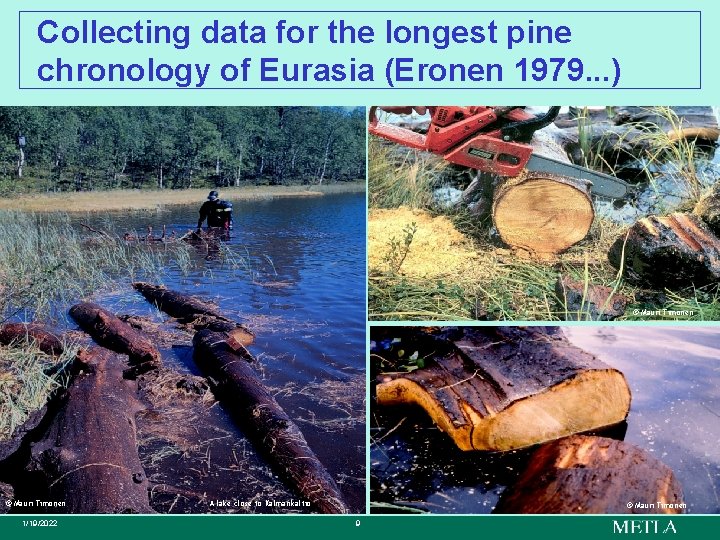 Collecting data for the longest pine chronology of Eurasia (Eronen 1979. . . )