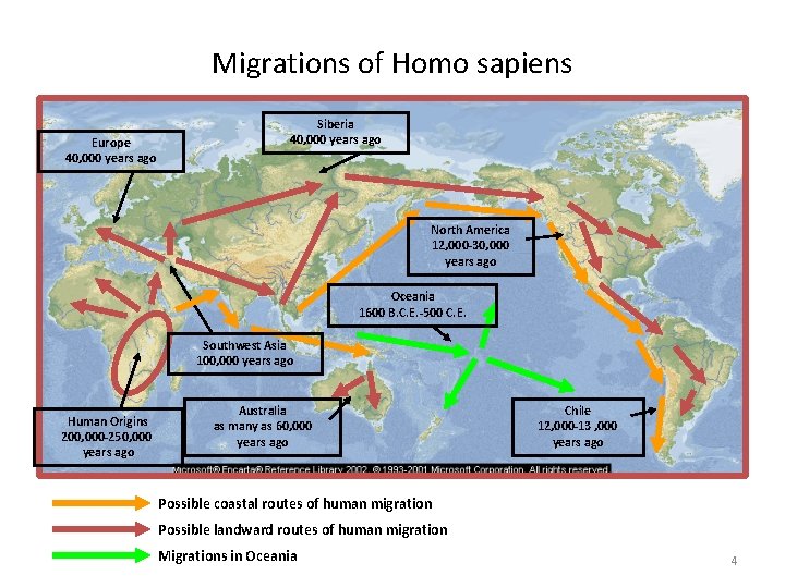 Migrations of Homo sapiens Europe 40, 000 years ago Siberia 40, 000 years ago