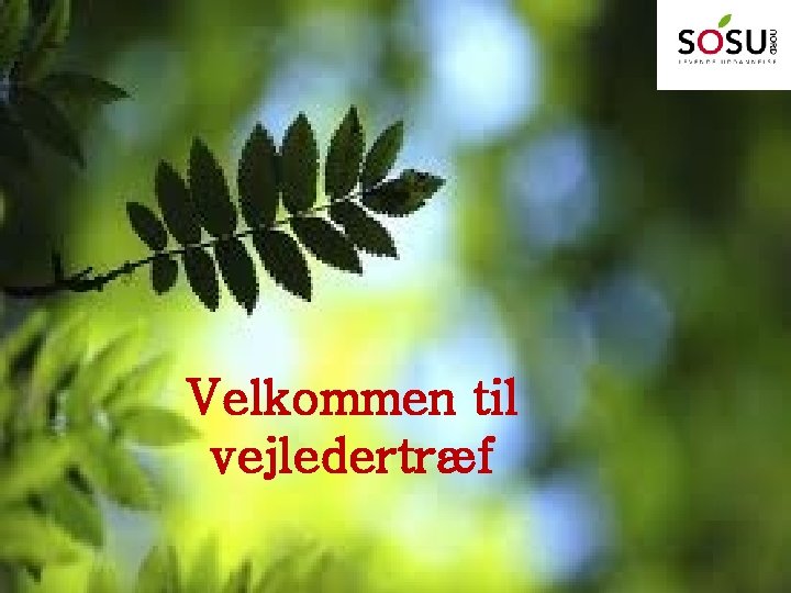 Velkommen til vejledertræf 