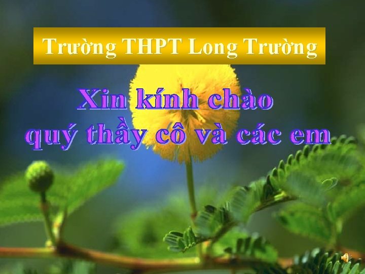 Trường THPT Long Trường 