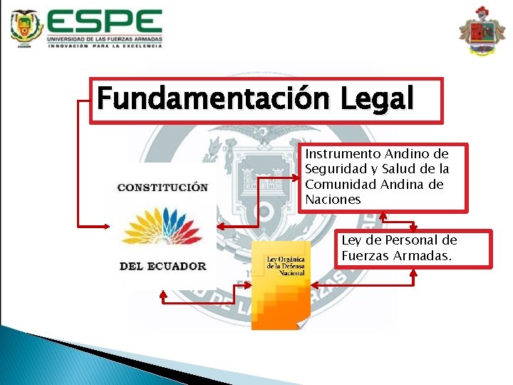 Fundamentación Legal Instrumento Andino de Seguridad y Salud de la Comunidad Andina de Naciones