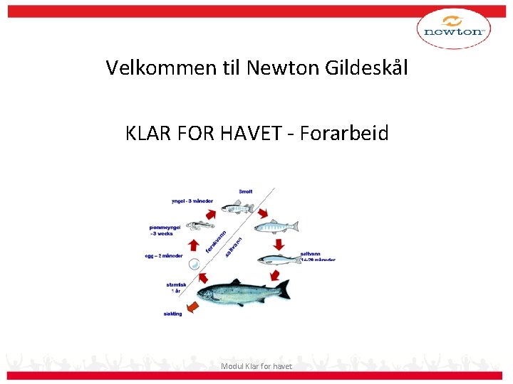 Velkommen til Newton Gildeskål KLAR FOR HAVET - Forarbeid Modul Klar for havet 