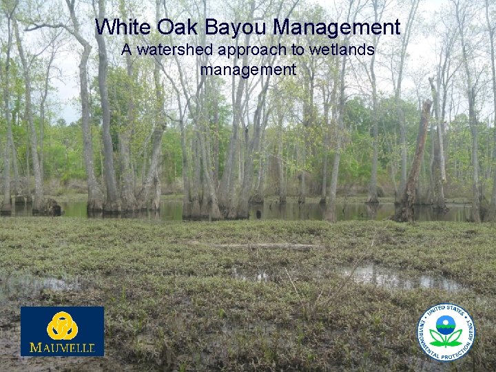 White Oak Bayou Management A watershed approach to wetlands management 