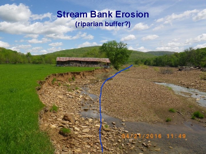 Stream Bank Erosion (riparian buffer? ) 