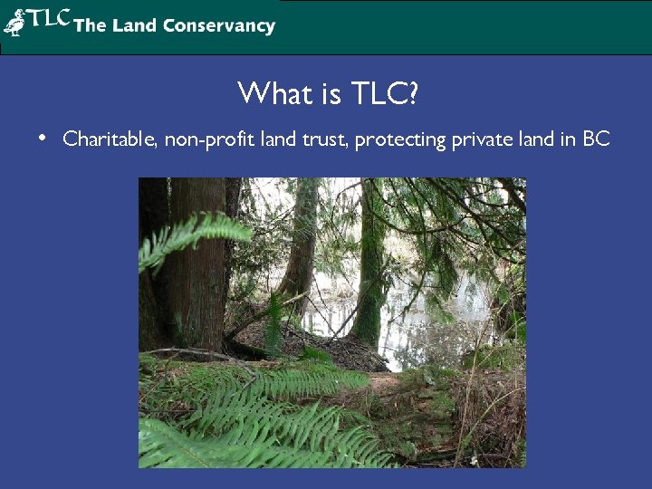 What is TLC? • Charitable, non-profit land trust, protecting private land in BC 