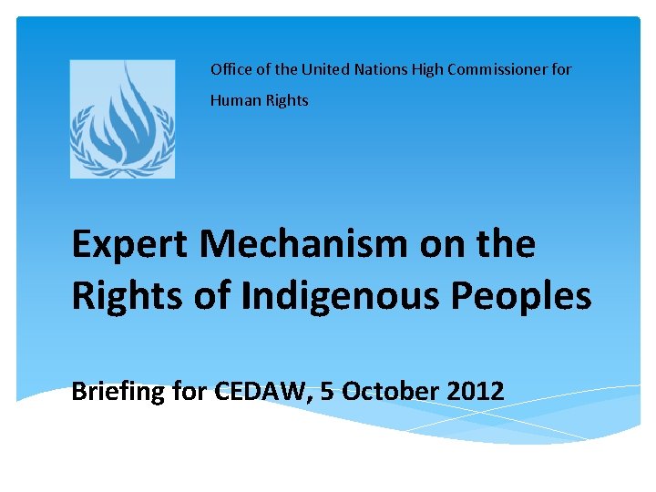 Office of the United Nations High Commissioner for