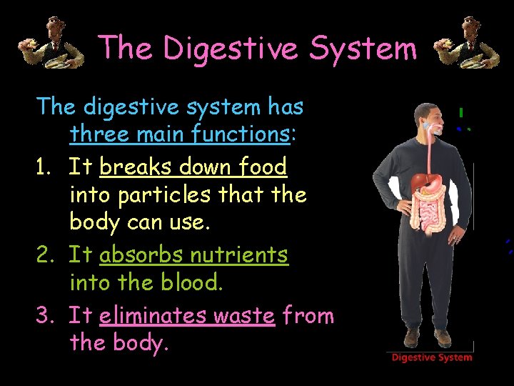 The Digestive System The digestive system has Mouth three main functions: Esophagus 1. It