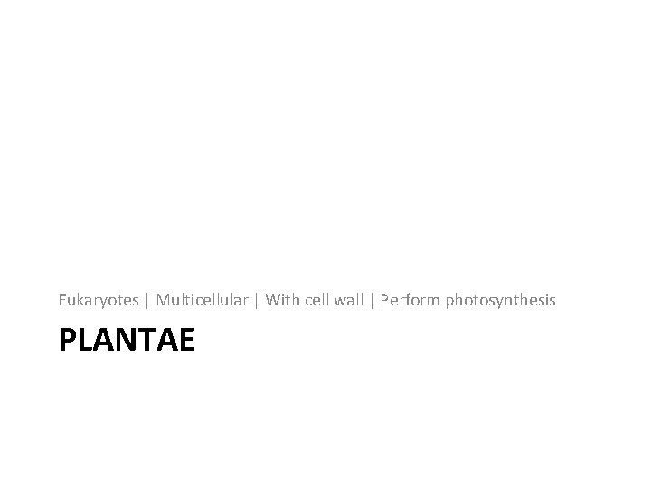 Eukaryotes | Multicellular | With cell wall | Perform photosynthesis PLANTAE 