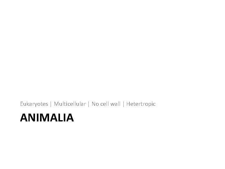 Eukaryotes | Multicellular | No cell wall | Hetertropic ANIMALIA 