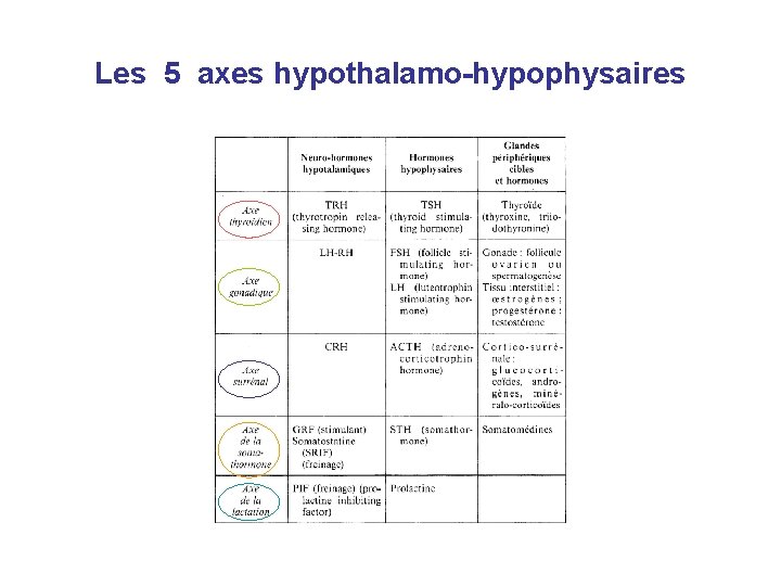 Les 5 axes hypothalamo-hypophysaires 