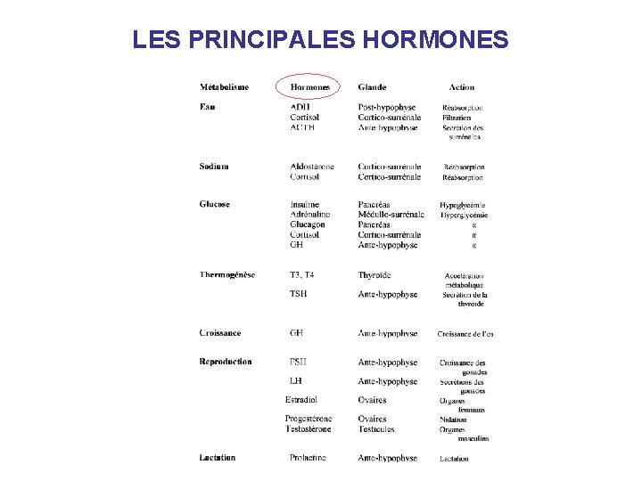 LES PRINCIPALES HORMONES 