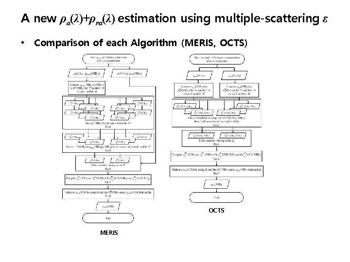 A new ρa(λ)+ρra(λ) estimation using multiple-scattering ε • Comparison of each Algorithm (MERIS, OCTS)