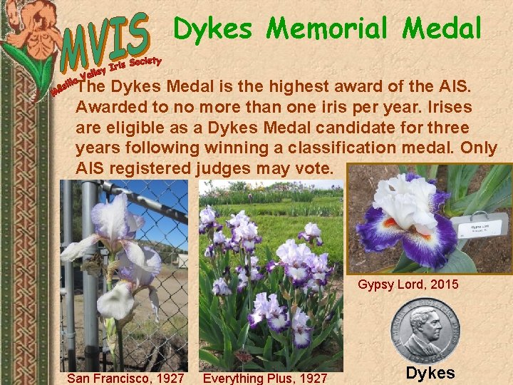 Dykes Memorial Medal • The Dykes Medal is the highest award of the AIS.