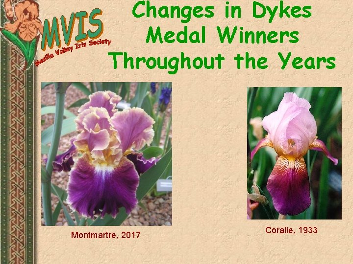 Changes in Dykes Medal Winners Throughout the Years Montmartre, 2017 Coralie, 1933 