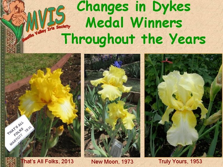 Changes in Dykes Medal Winners Throughout the Years That’s All Folks, 2013 New Moon,