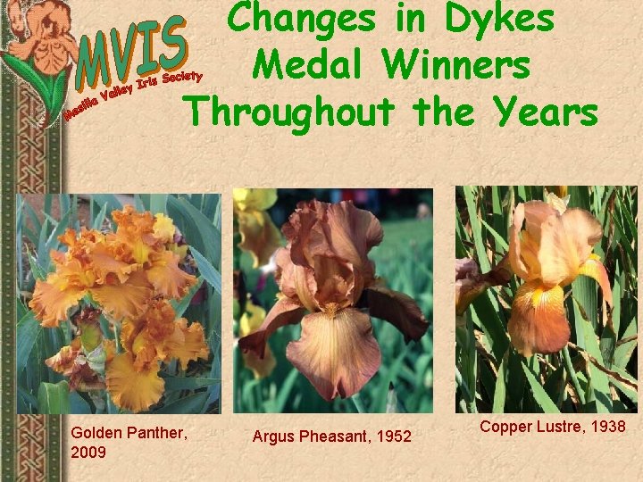 Changes in Dykes Medal Winners Throughout the Years Golden Panther, 2009 Argus Pheasant, 1952