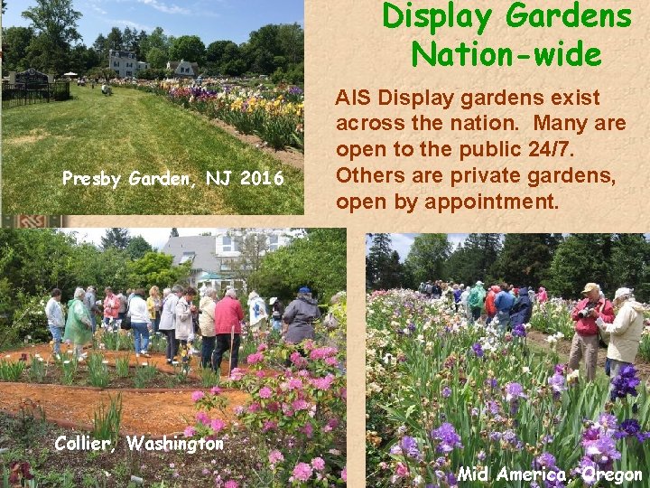 Display Gardens Nation-wide Presby Garden, NJ 2016 AIS Display gardens exist across the nation.